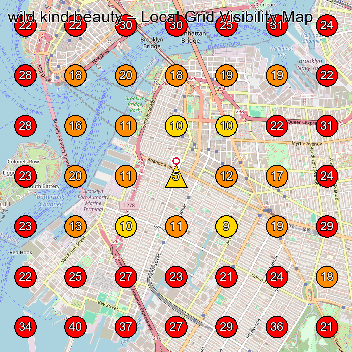 wild kind beauty GeoGrid visibility map for Facial Spa in Brooklyn